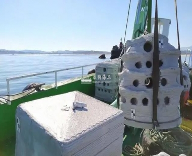 3D打印礁石丨修复海底生态